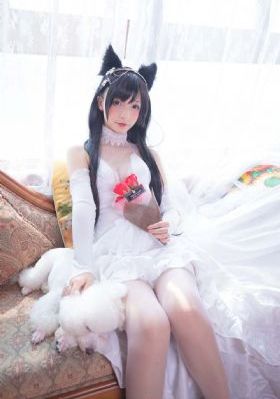 美女免费A级高清在线观看_BD在线观看电视